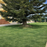 chatgpt image 17 abr 2026, 18 54 46 2